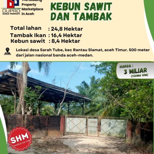 Lahan Kebun Sawit & Tambak | Legalitas SHM | Cocok untuk Investor