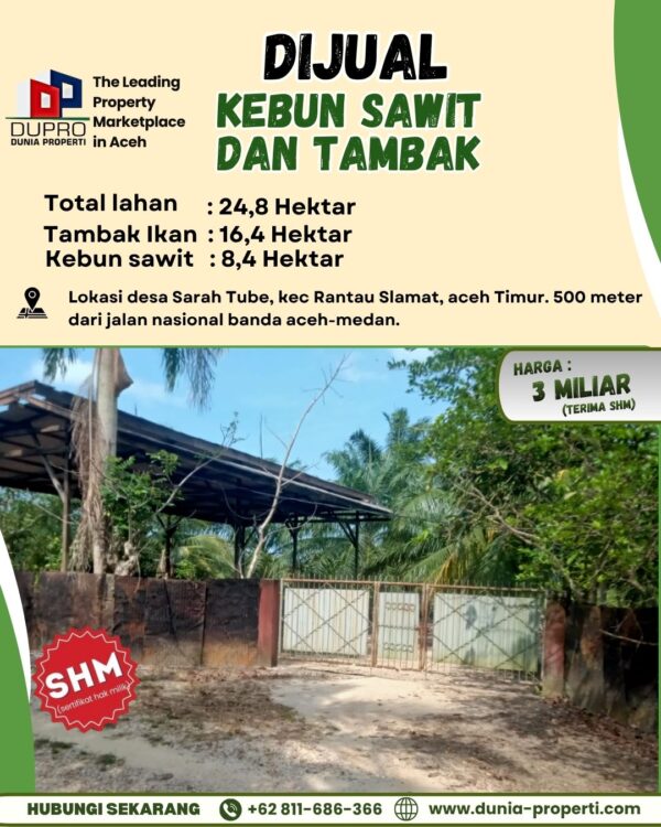 Lahan Kebun Sawit & Tambak | Legalitas SHM | Cocok untuk Investor